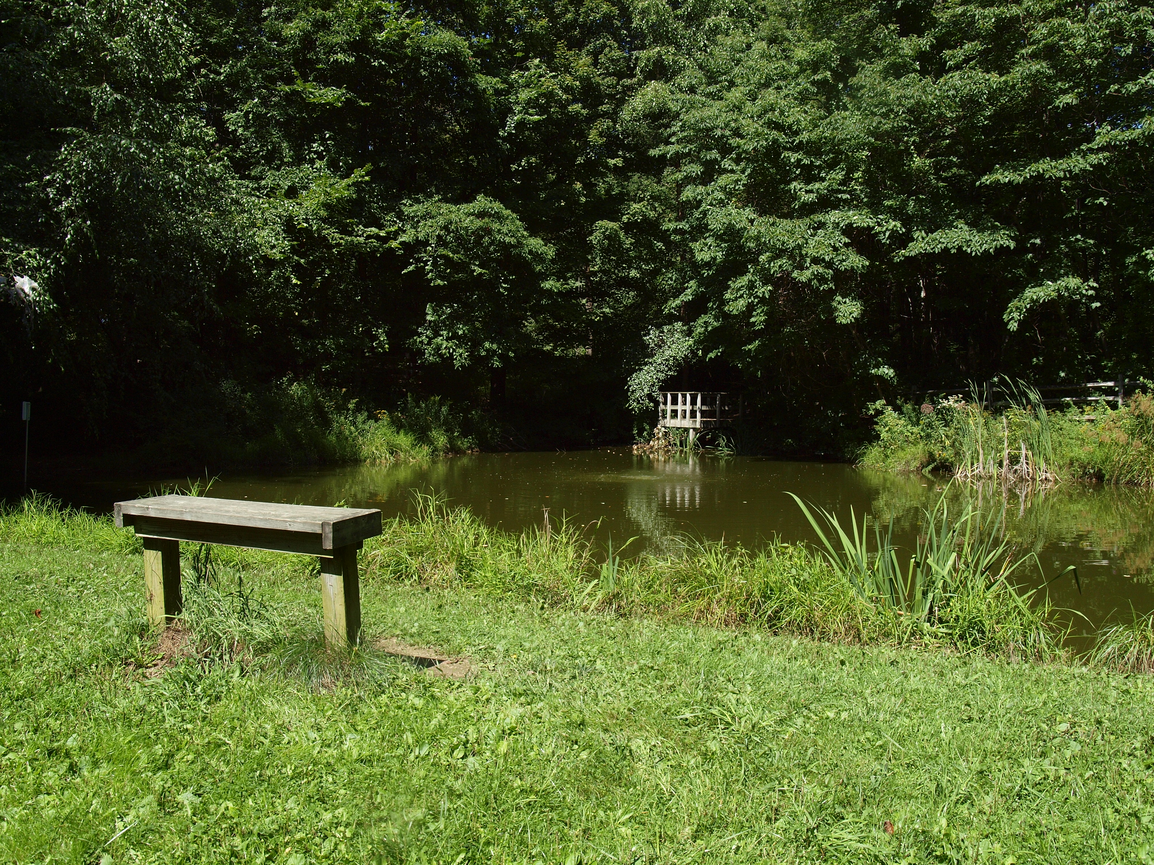A bench in the grass overlooks a pond on the Nature Center property