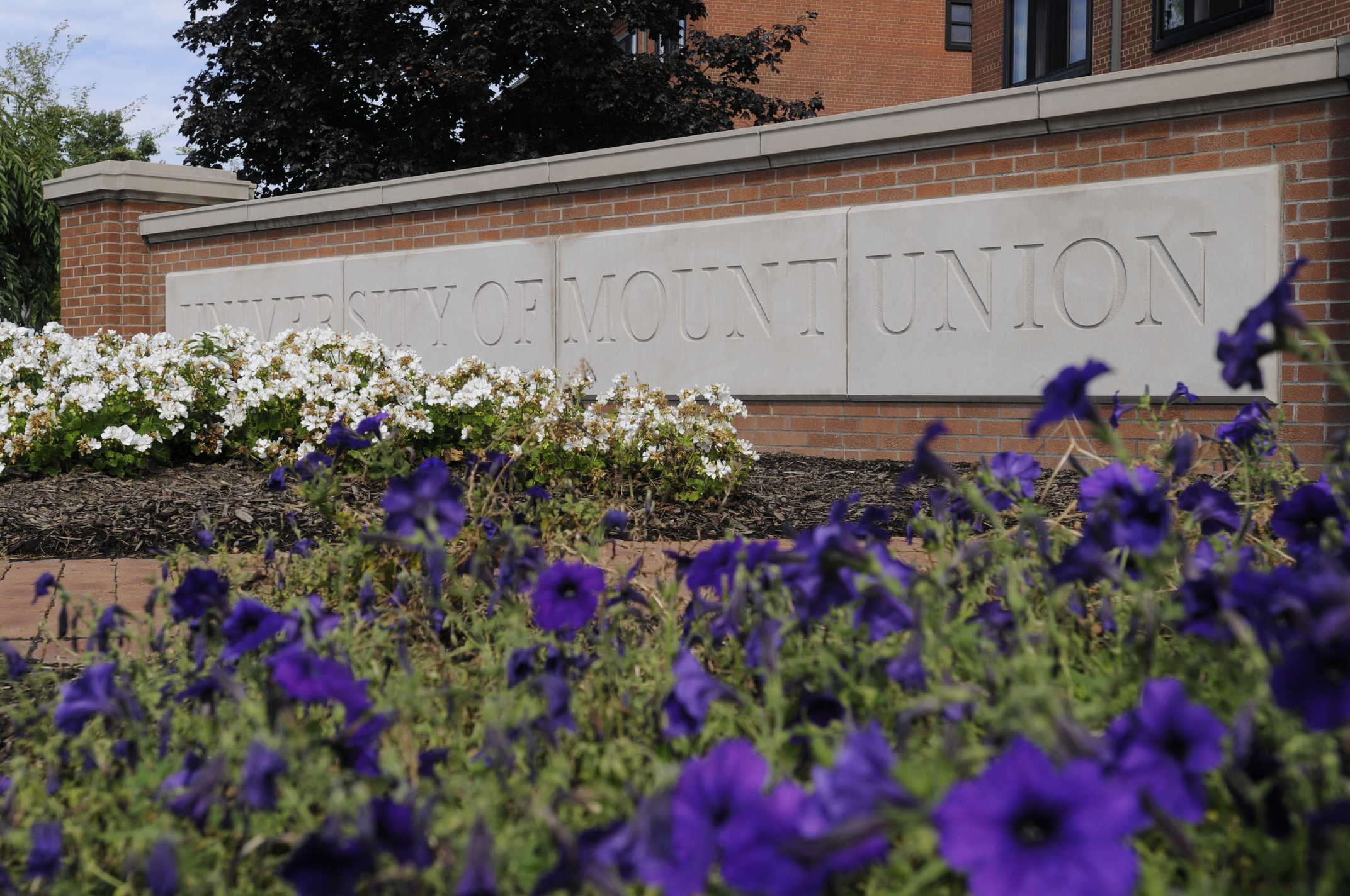 University of Mount Union 
