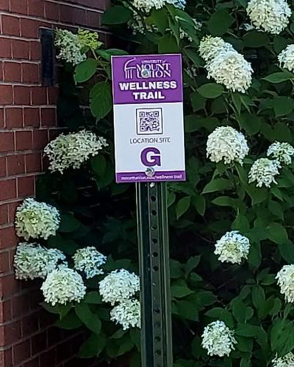 Wellness Trail Location Site G