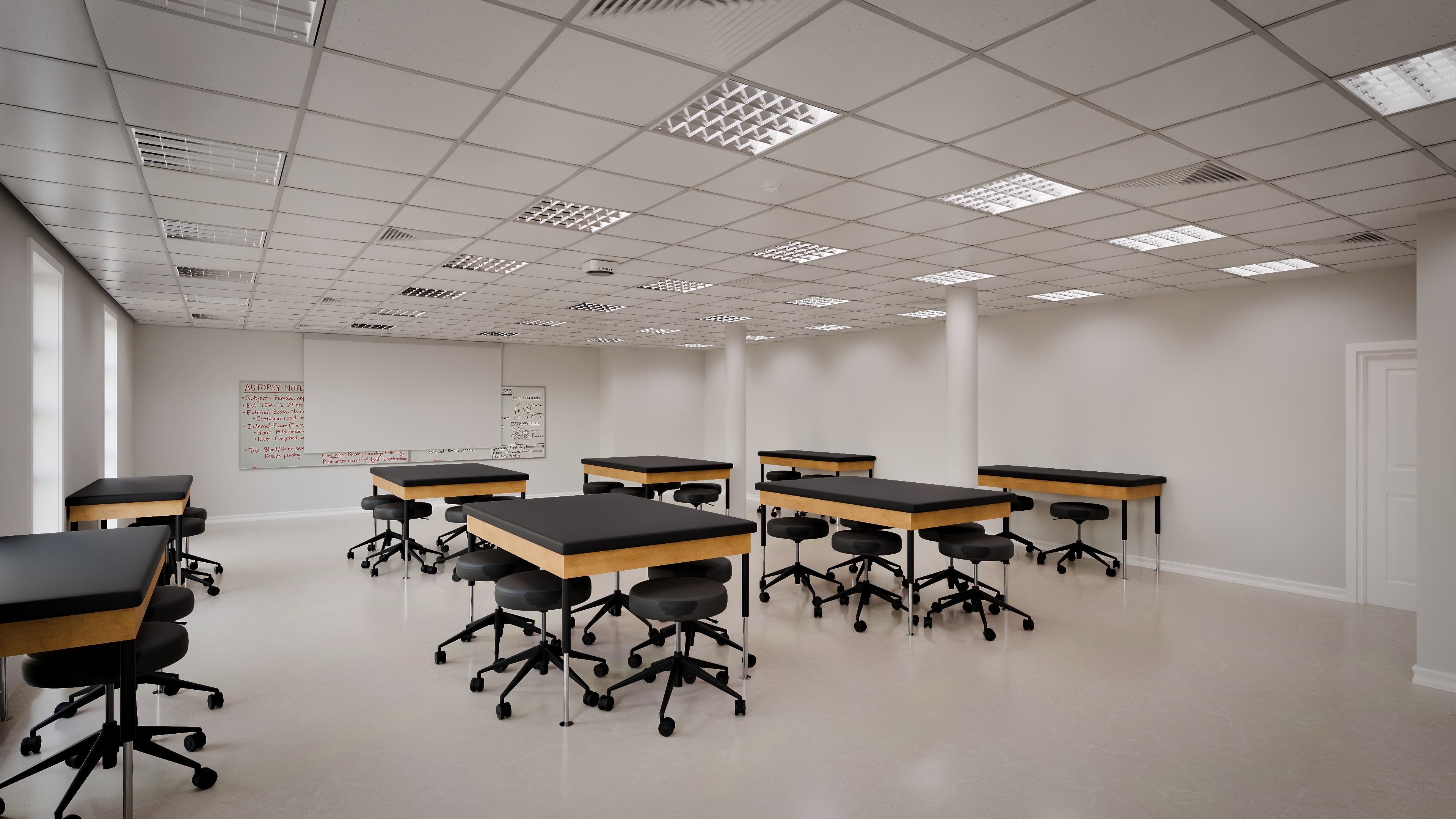 Additional new lab rendering