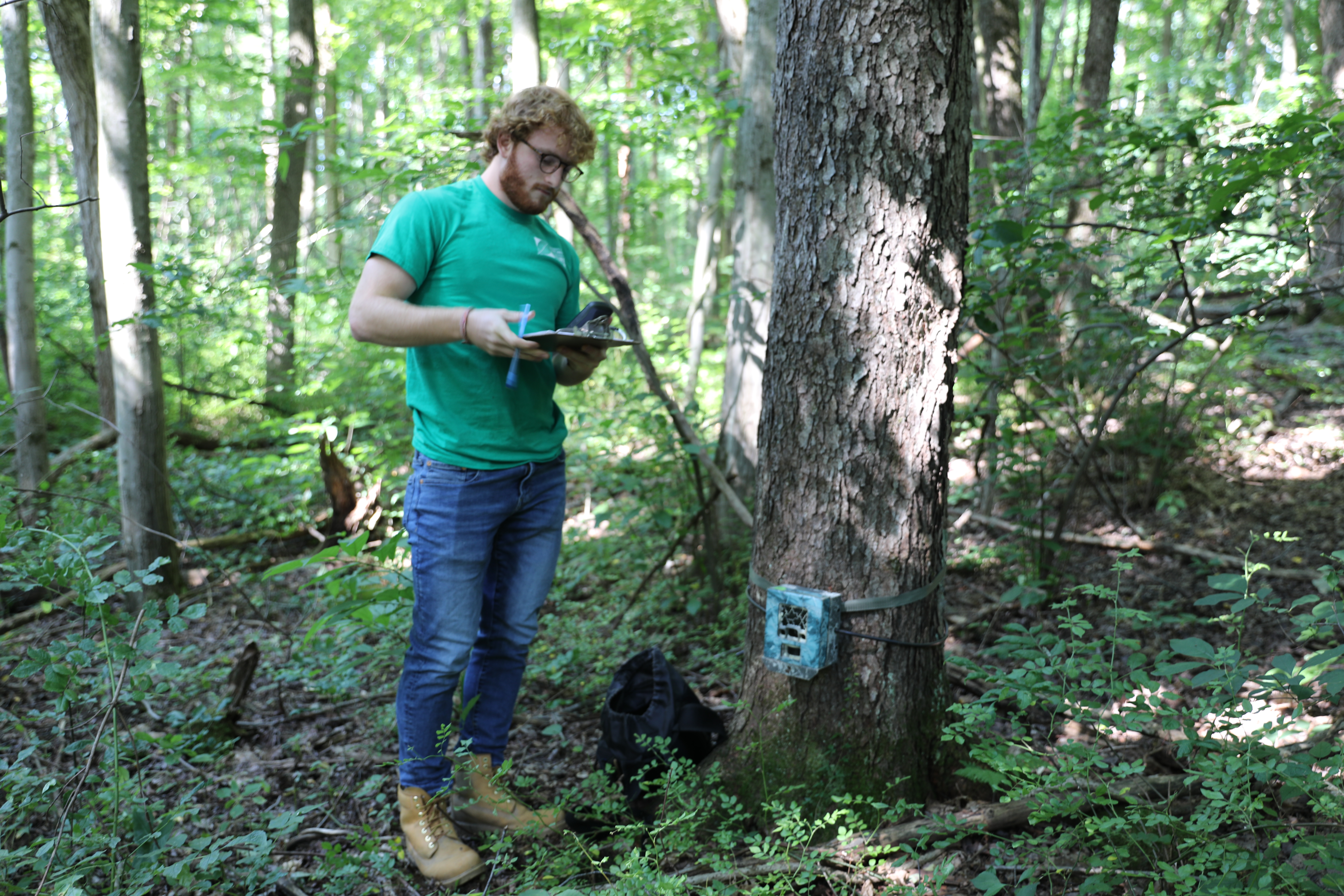 Student attaches a trails camera to a tree at the Nature Center
