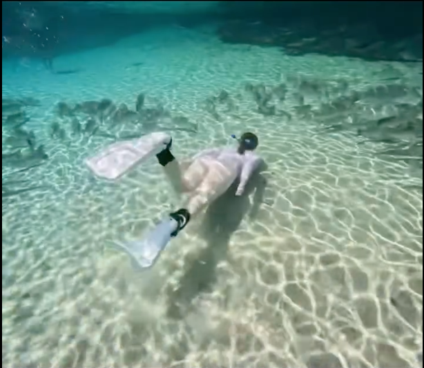 Student snorkeling in Florida