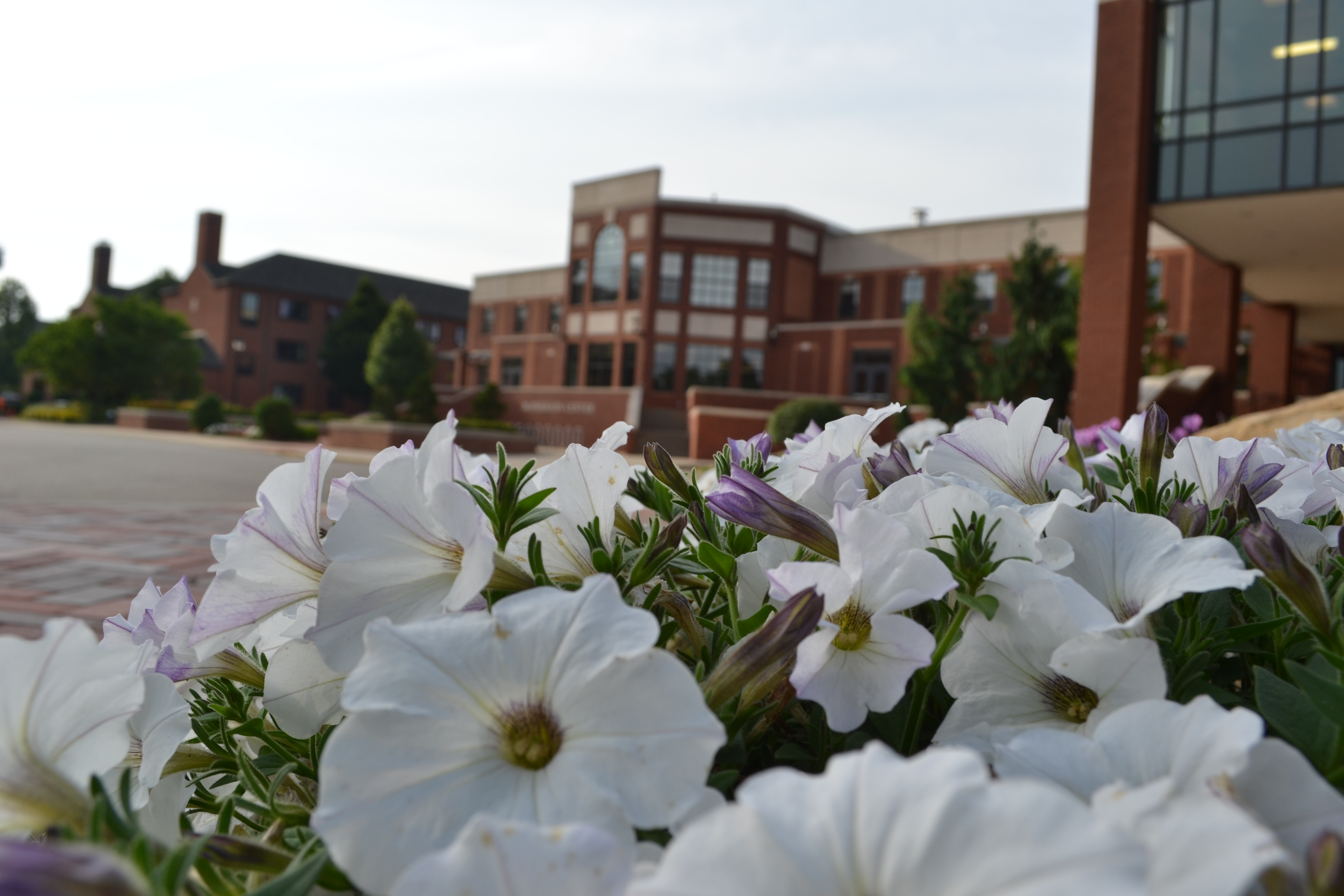 University of Mount Union, The McPherson Academic and Athletic Complex