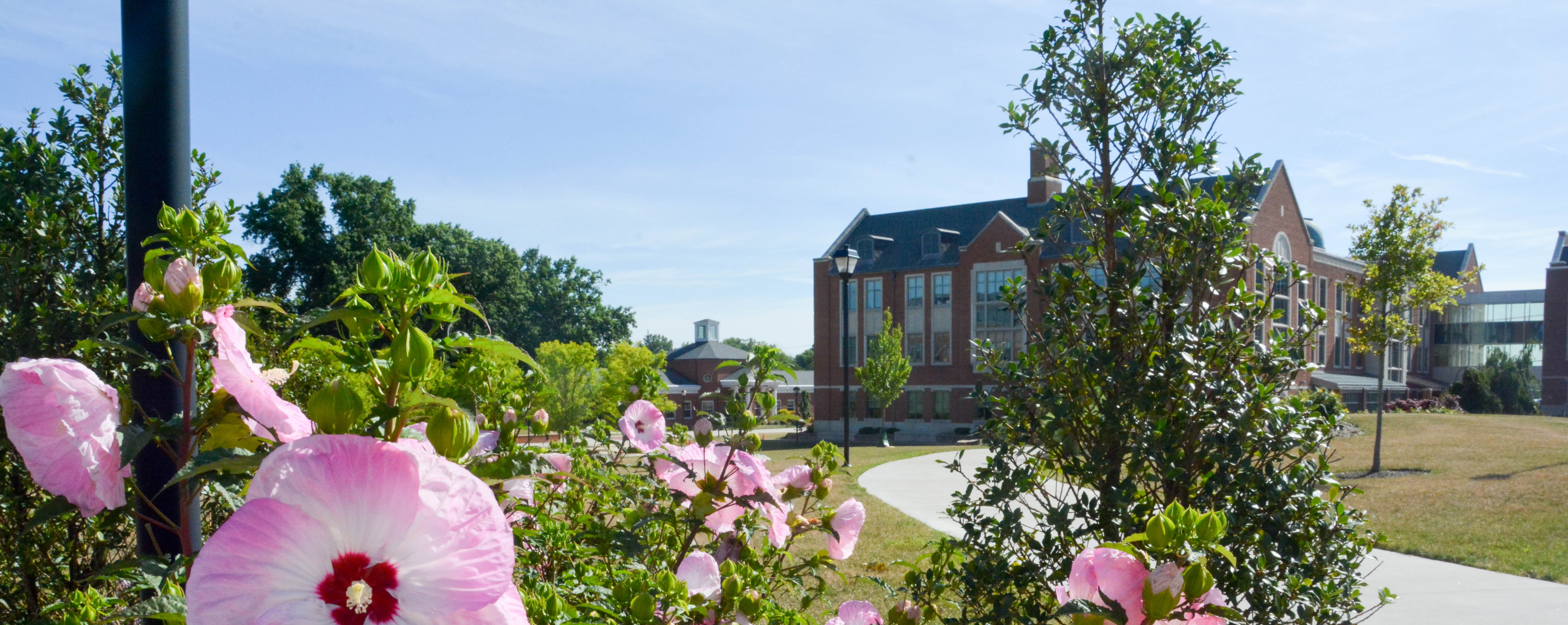 University of Mount Union 