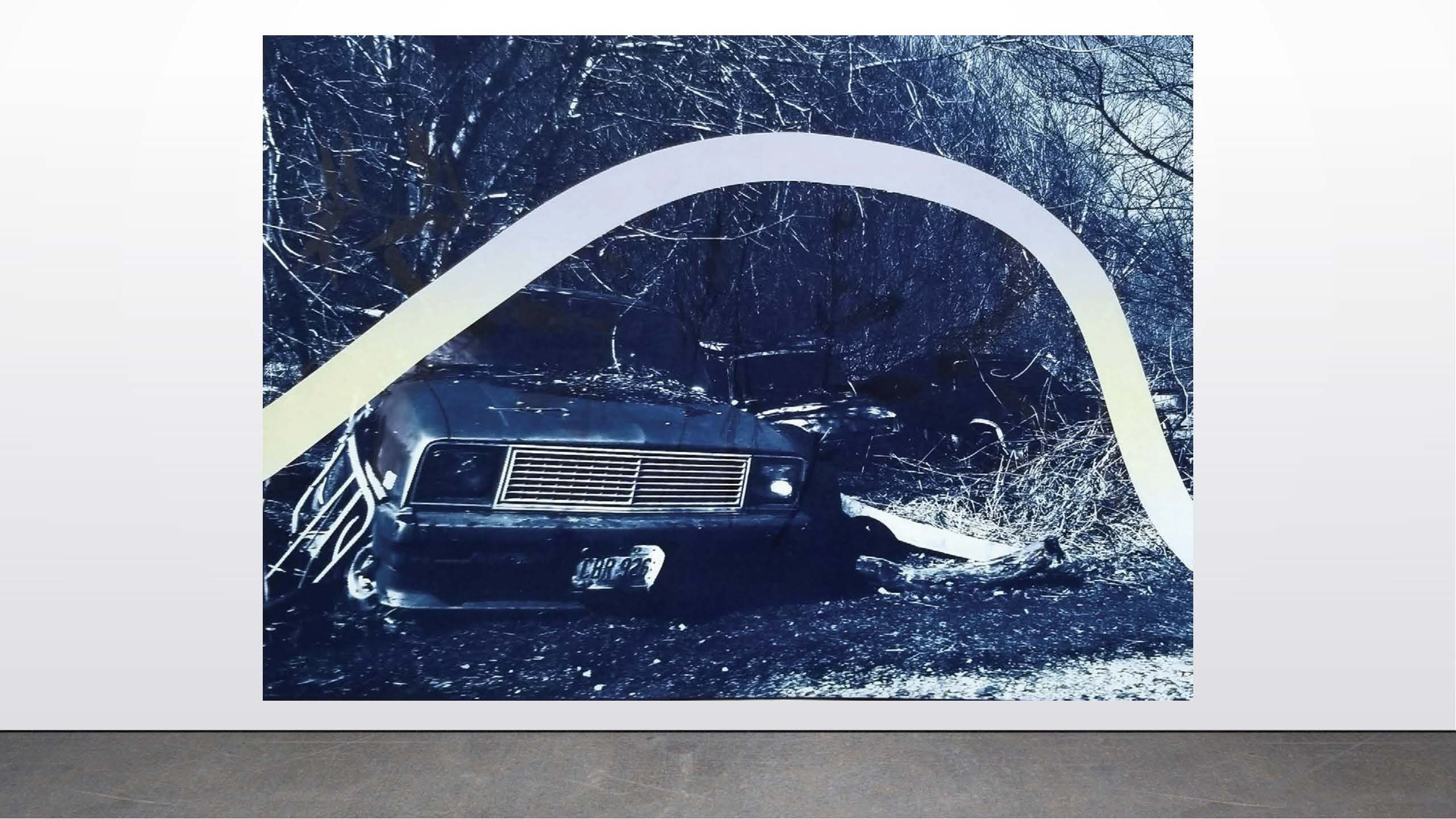 Arron Foster    I do believe its time, 2020    Cyanotype and silkscreen.     28”x20”