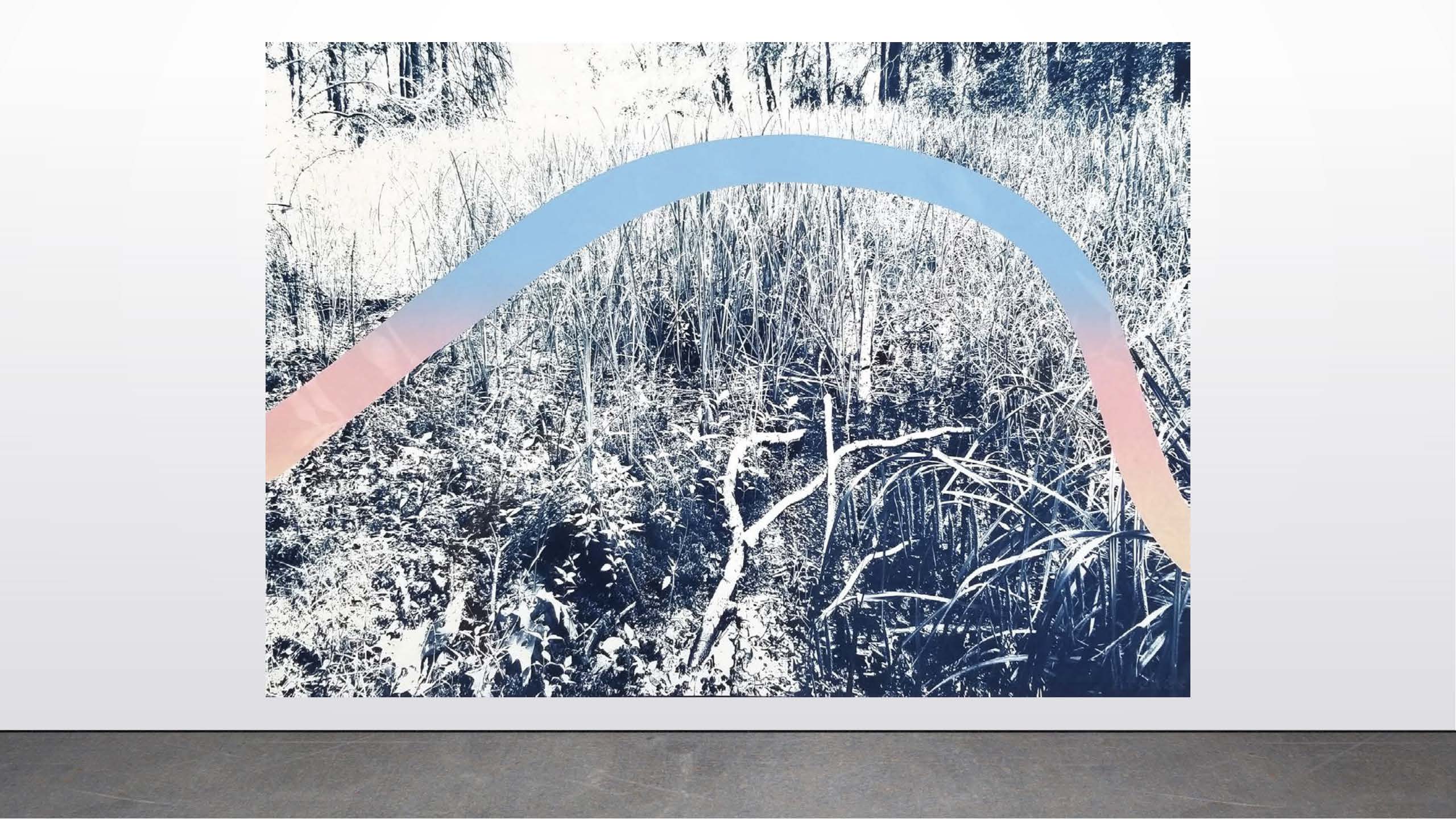 Arron Foster    And the devil, 2020    Cyanotype and silkscreen.     28”x20”