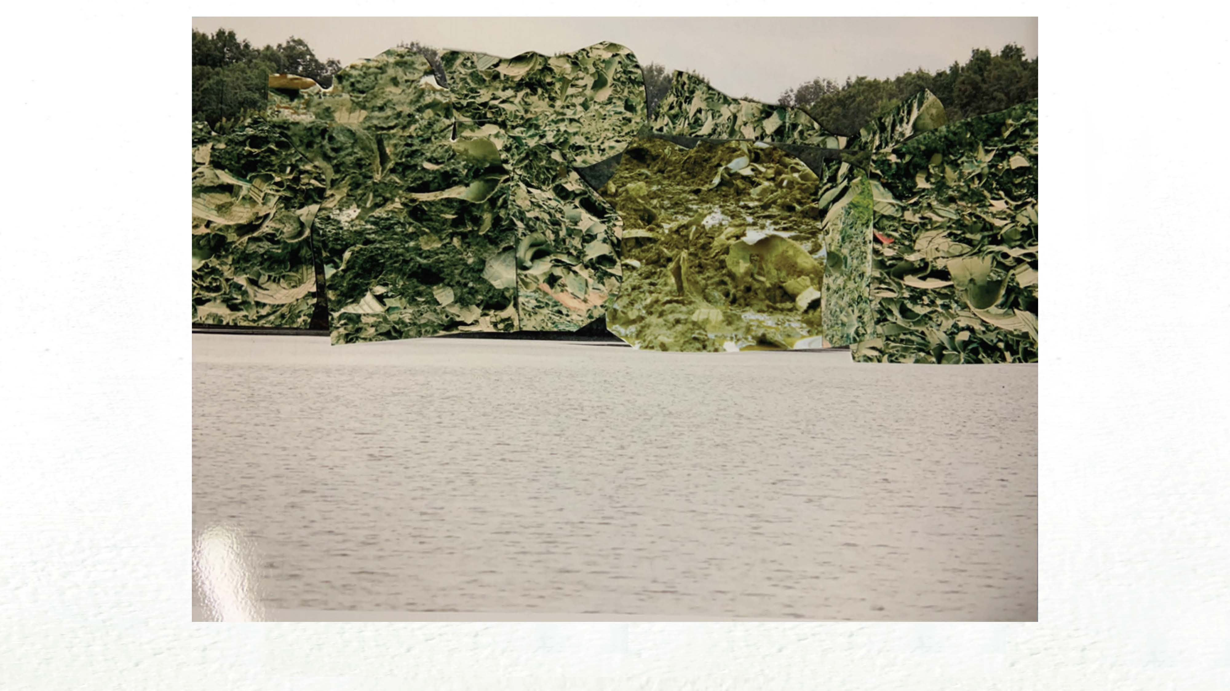 Kimberly Bryan. “Nature vs. Trash (III)”, photograph, photoshop collage, 2021.