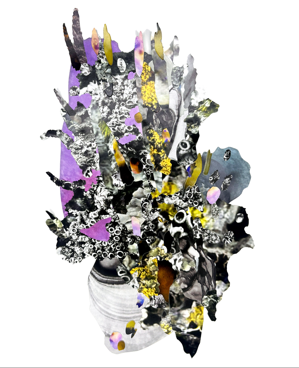 Nicole Condon-Shih Art Reception