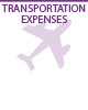 transportation expense icon
