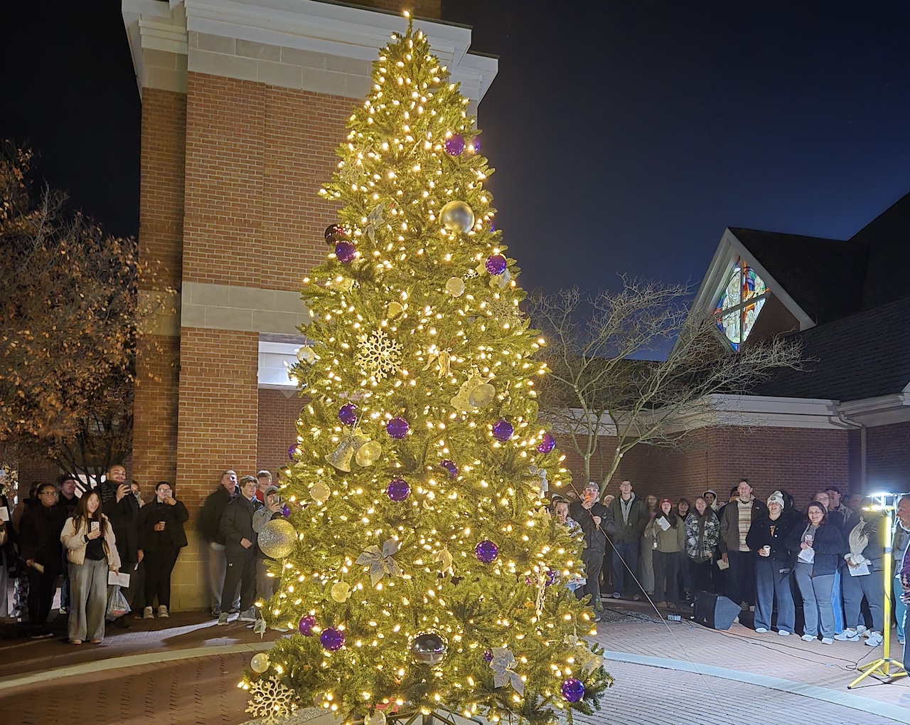 Mount Union's holiday tree
