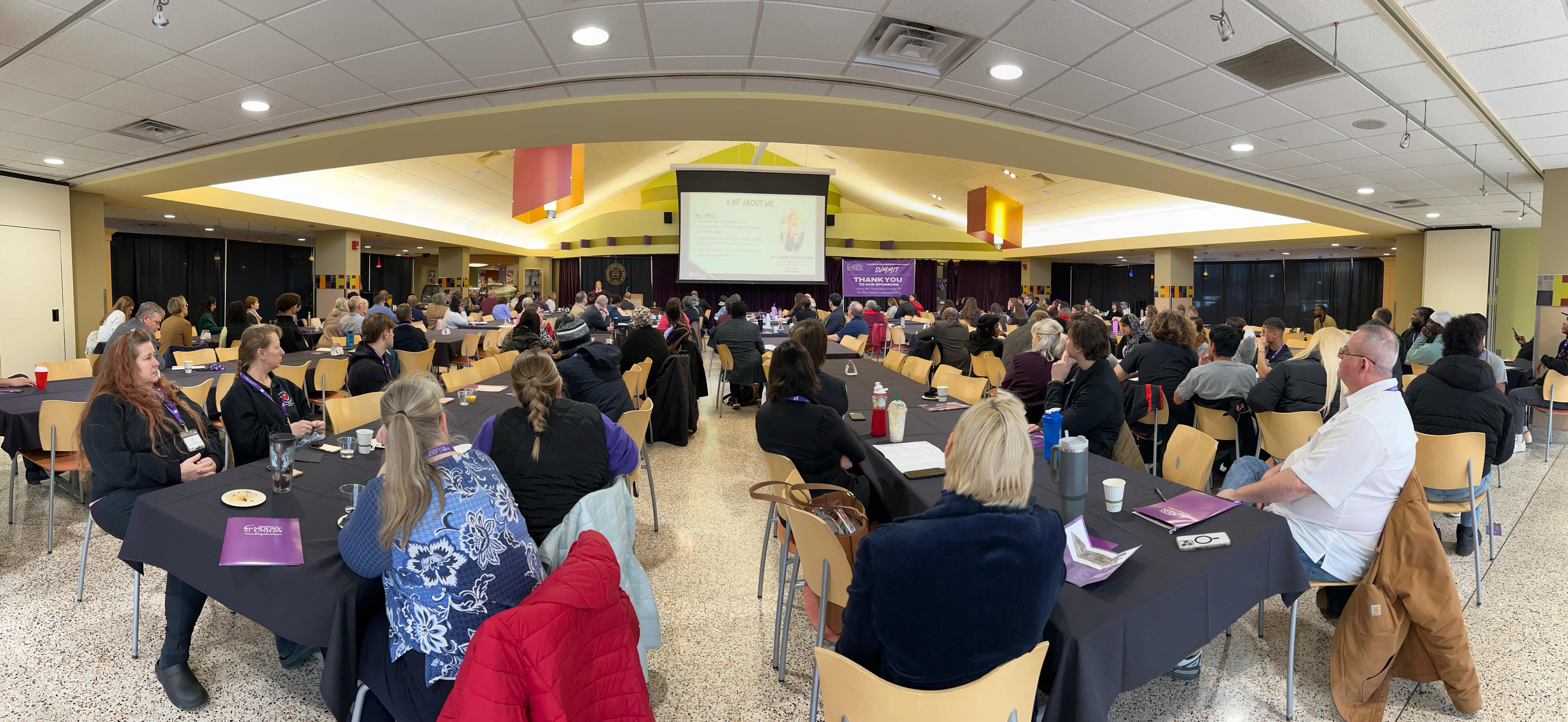 pano of ace summit group