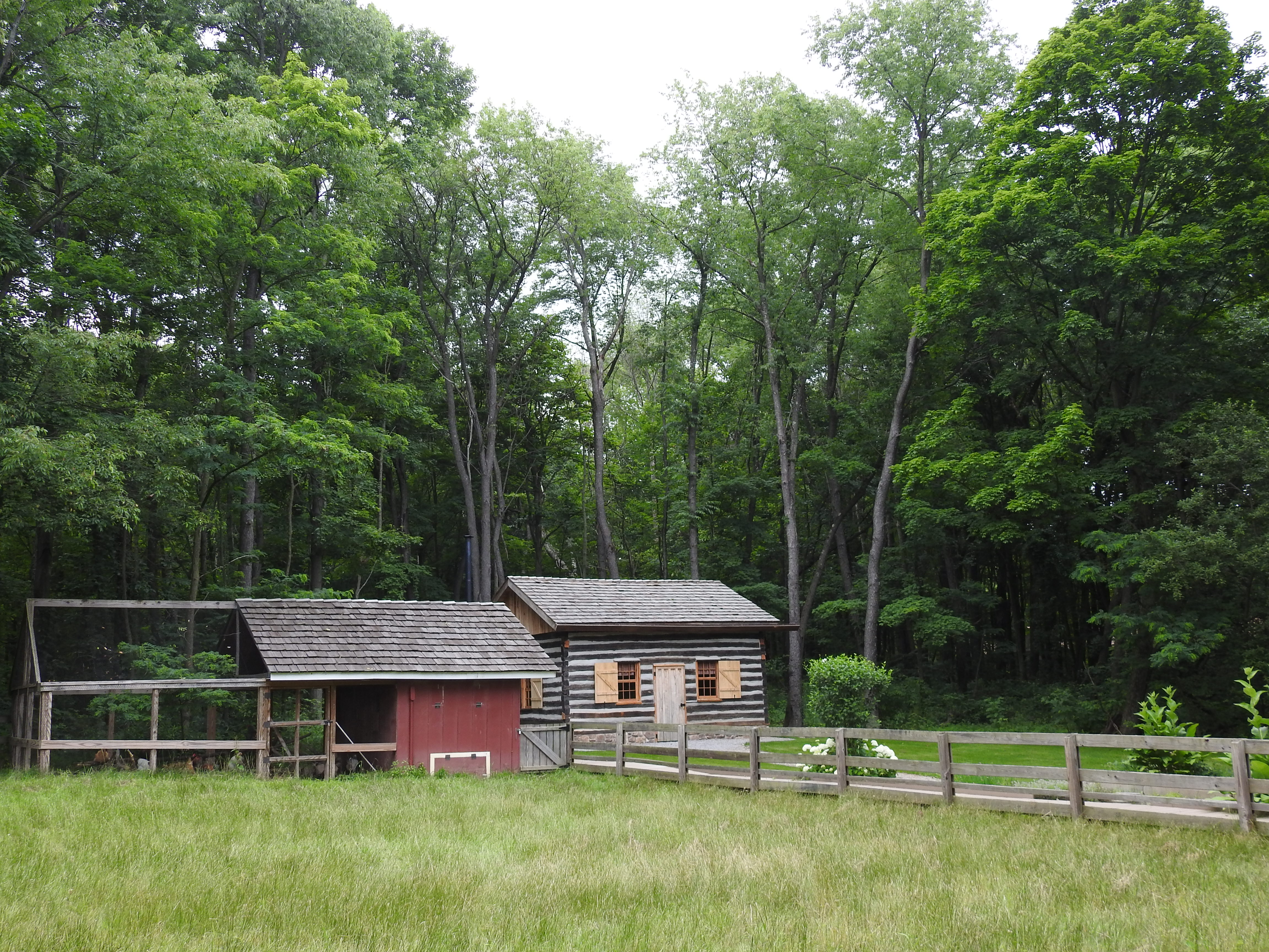 A zoomed-out picture of a chicken coop in front of a tree line