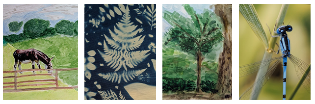 Collage of Student Artwork during STEM program