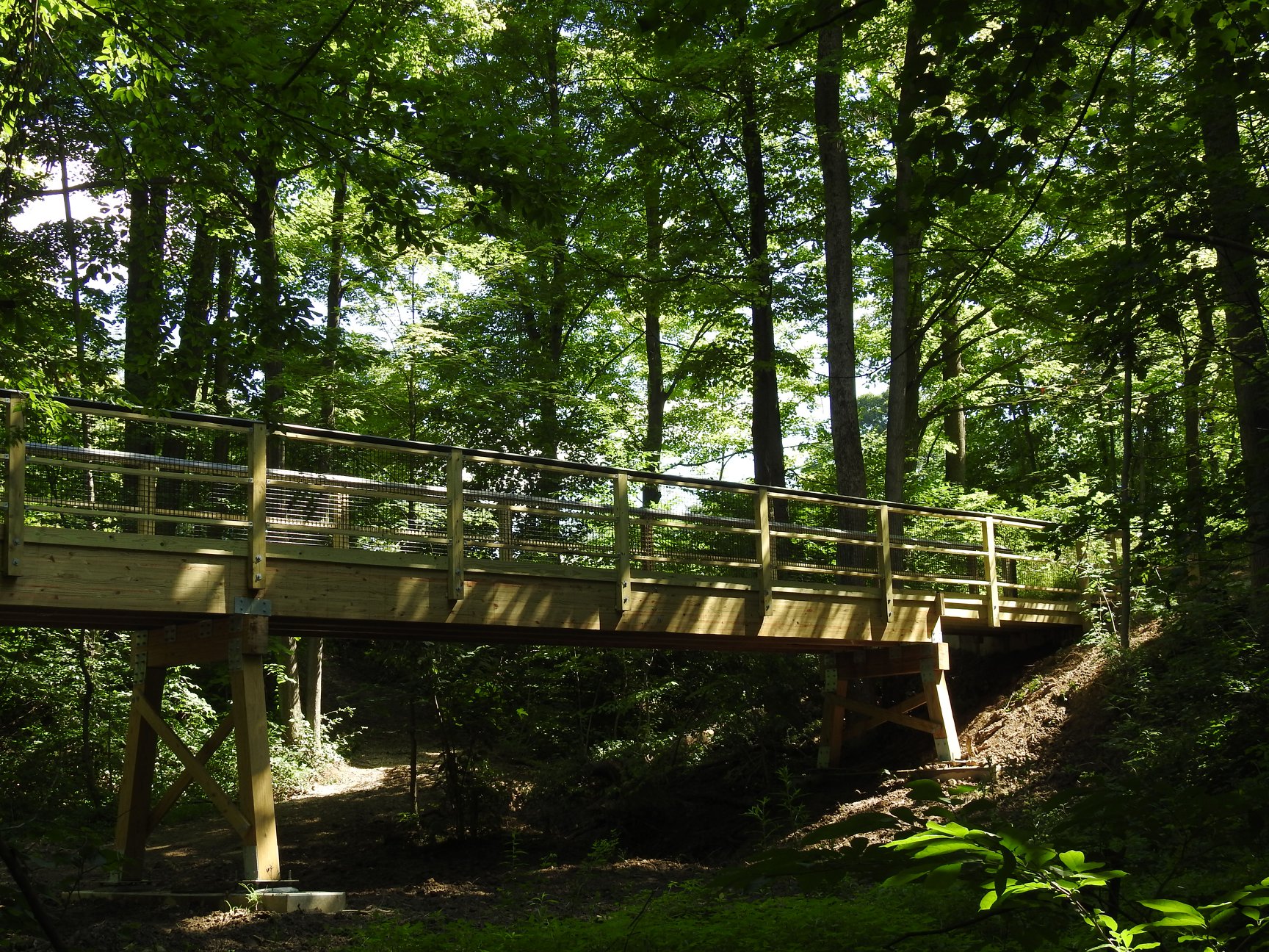 A bridge in the woods of the Nature Center property