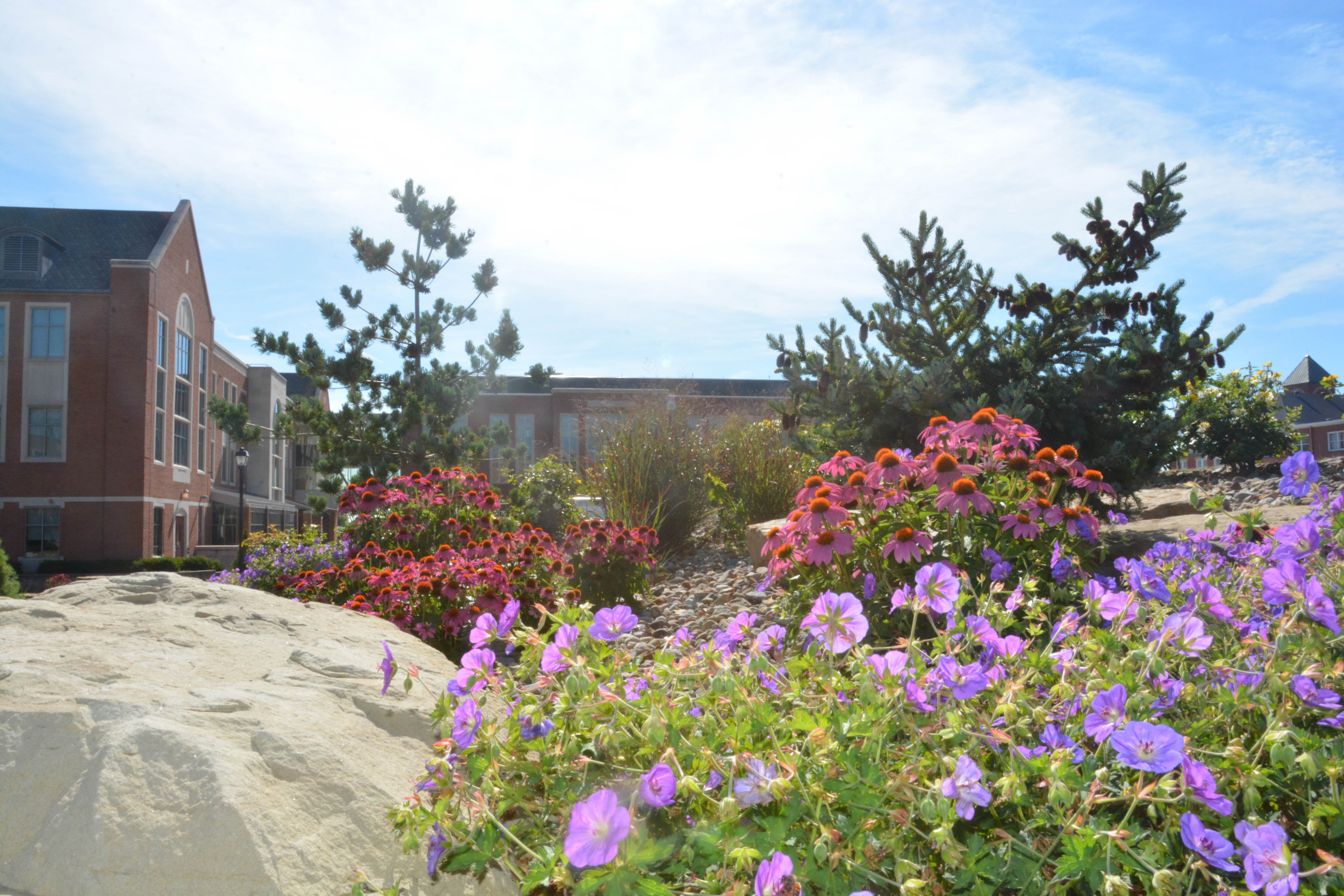 Mount Union's campus during springtime. 