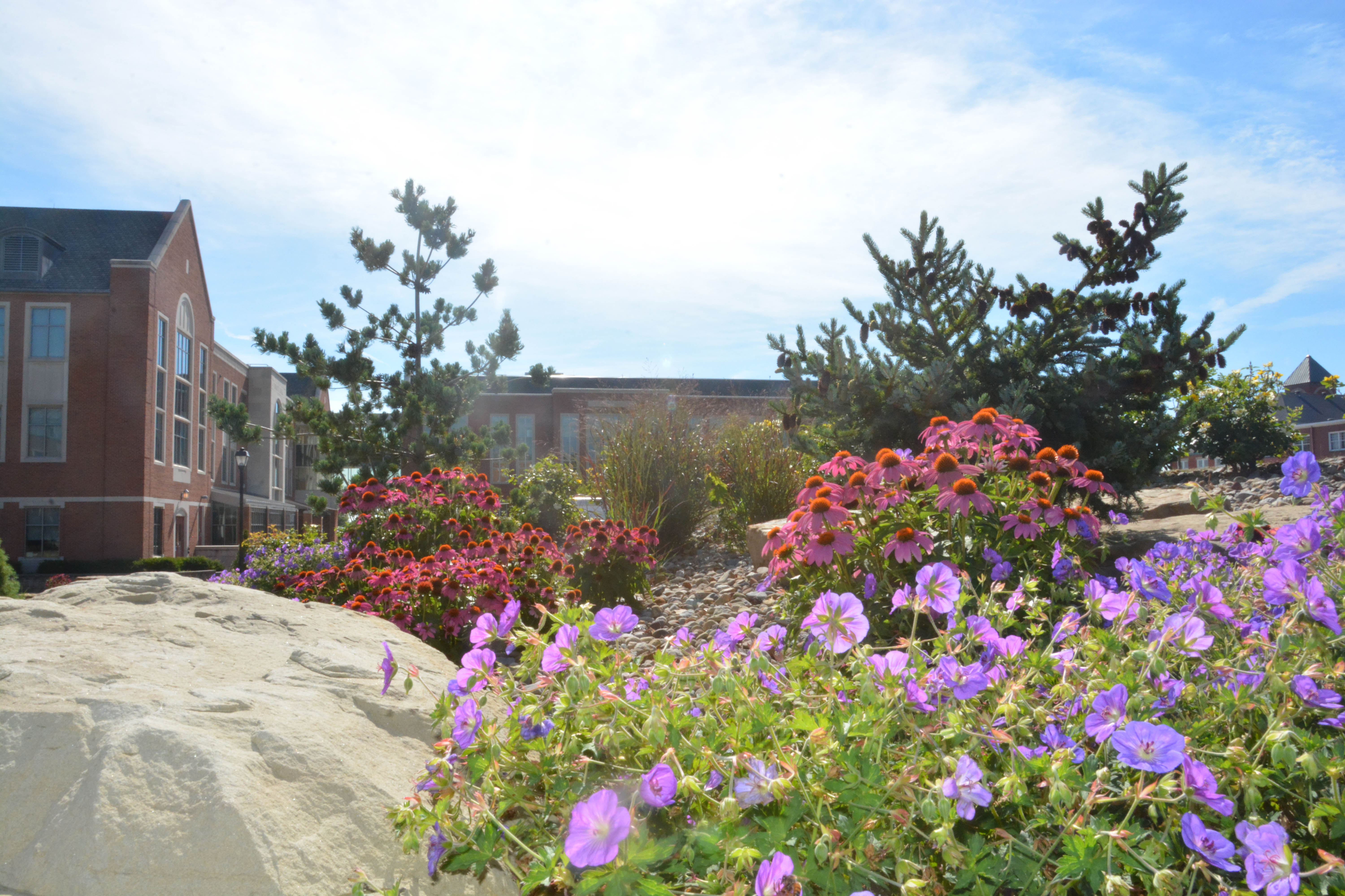 Mount Union's campus during springtime.