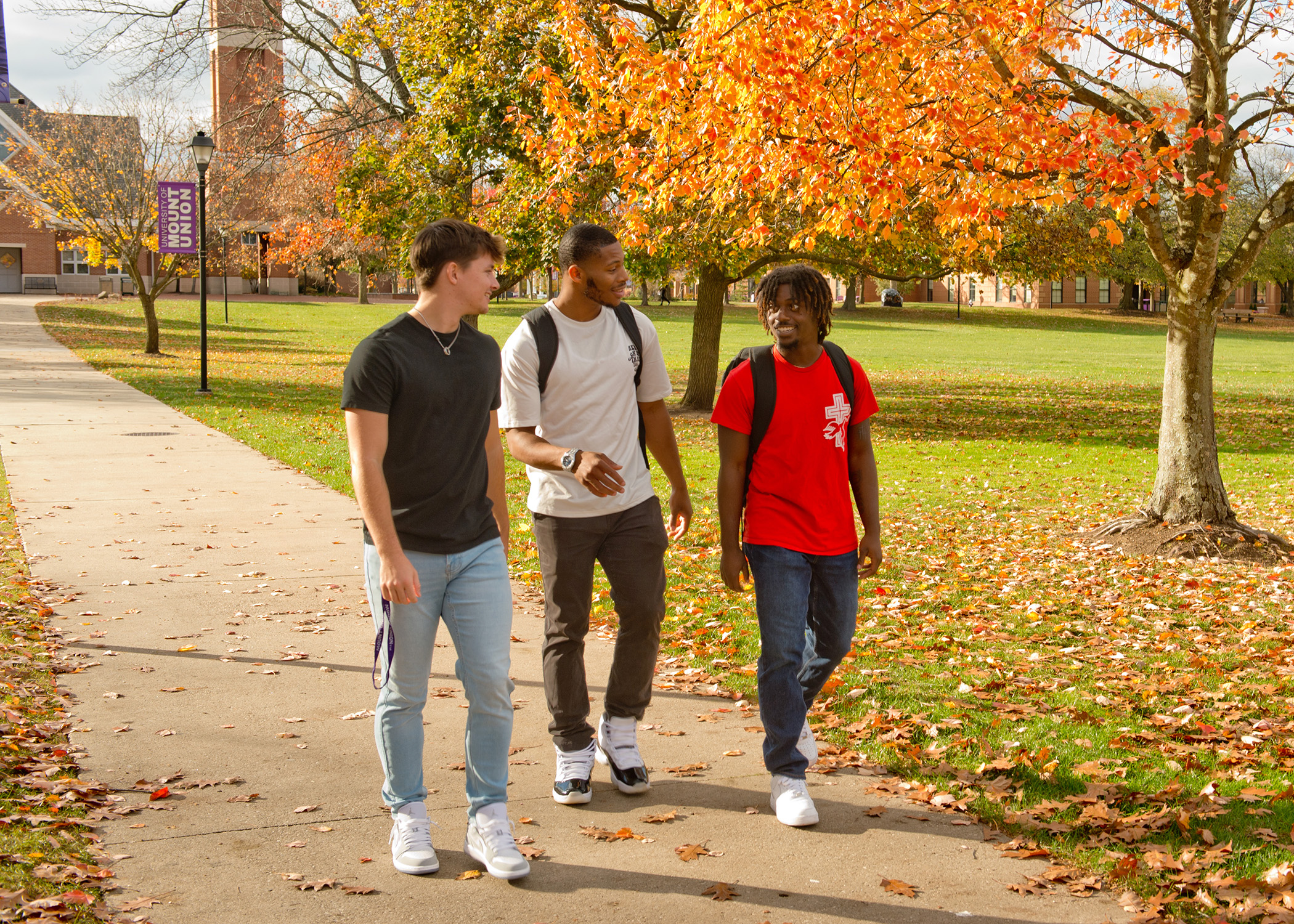 Fall Visit #1