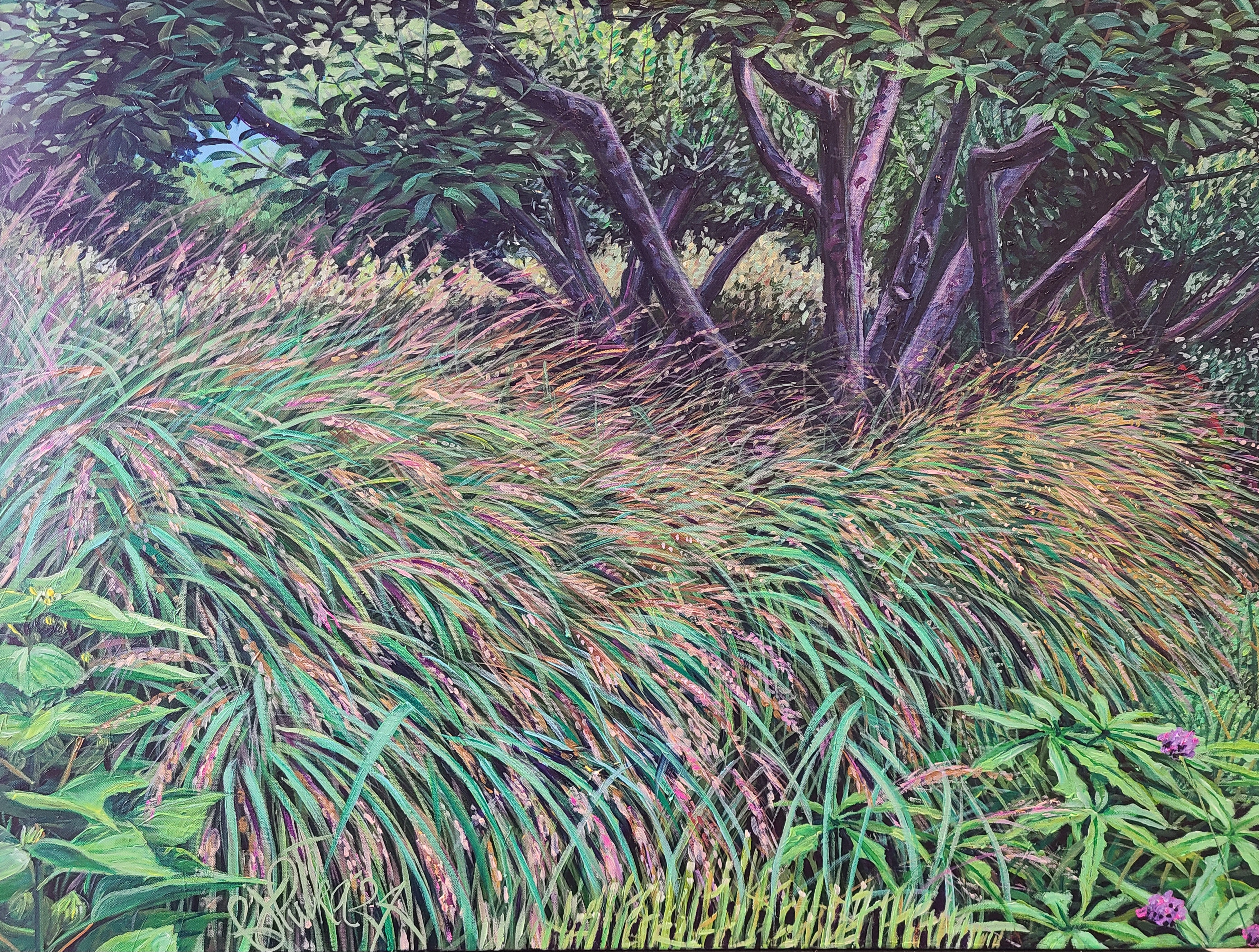 Painting of Plants and Flowers by Robert Putka