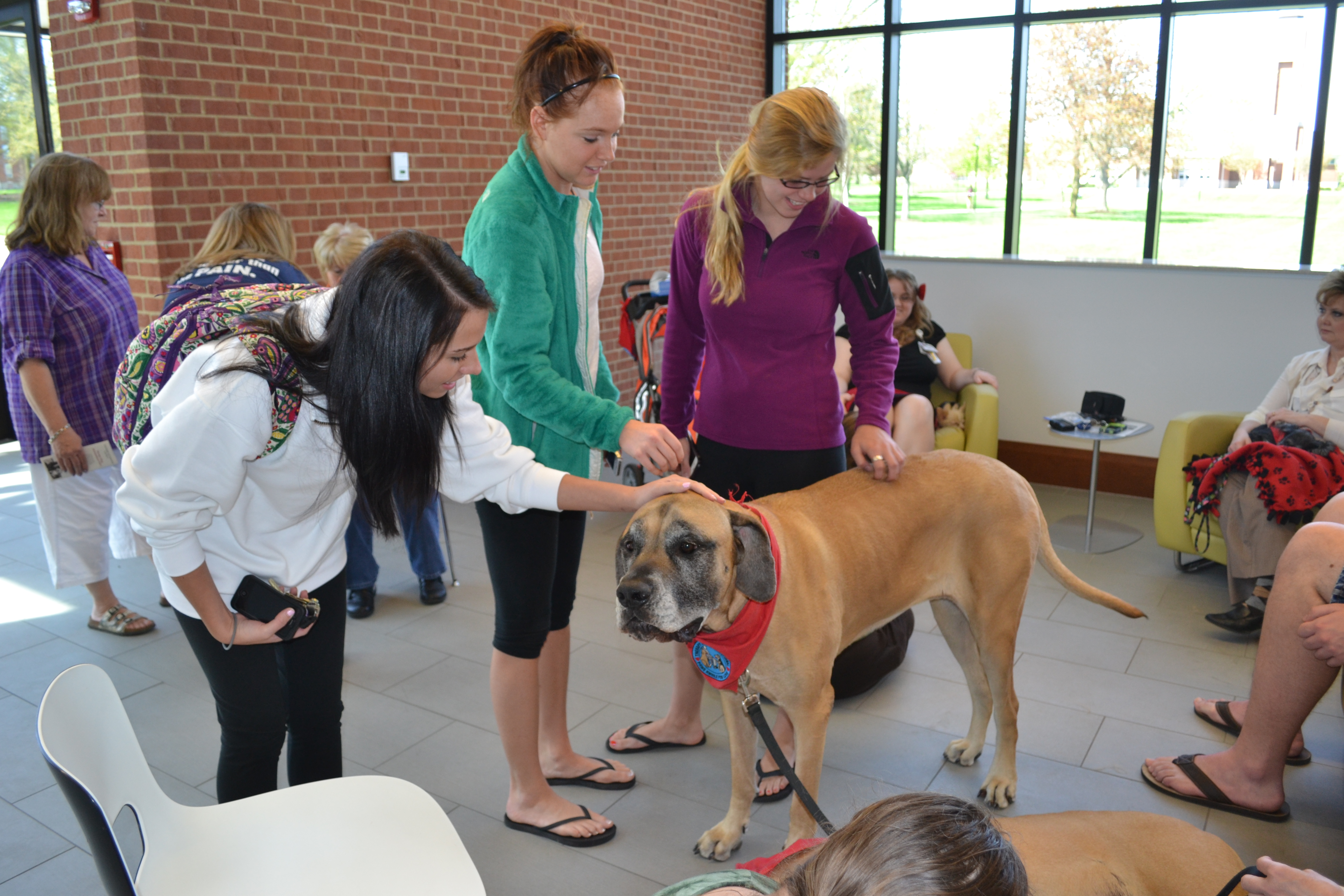 students petting therapy dog