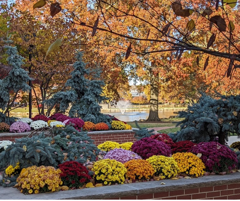 The front entrance of the Kolenbrander-Harter Information Center in fall