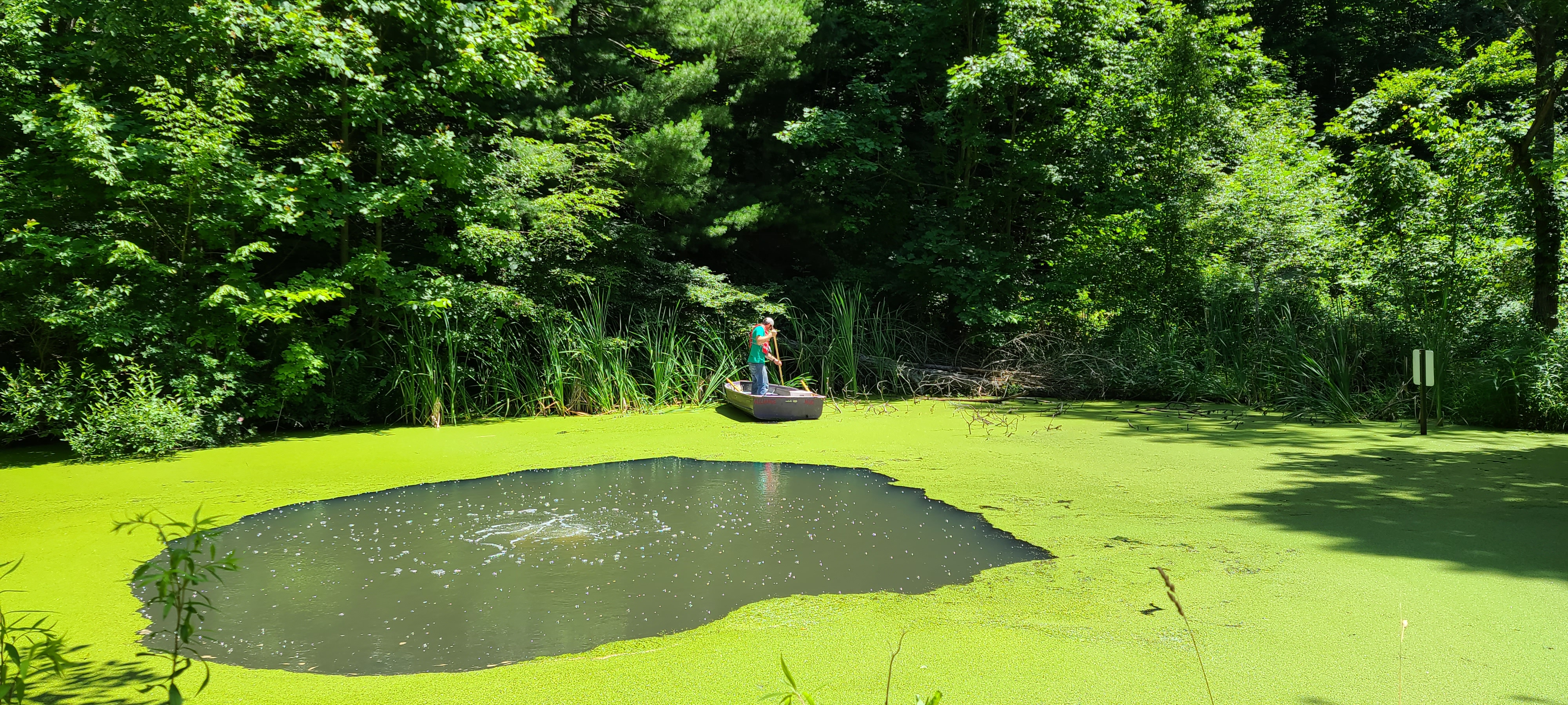 Student working at the ponds in the Huston Brumbaugh Nature Center
