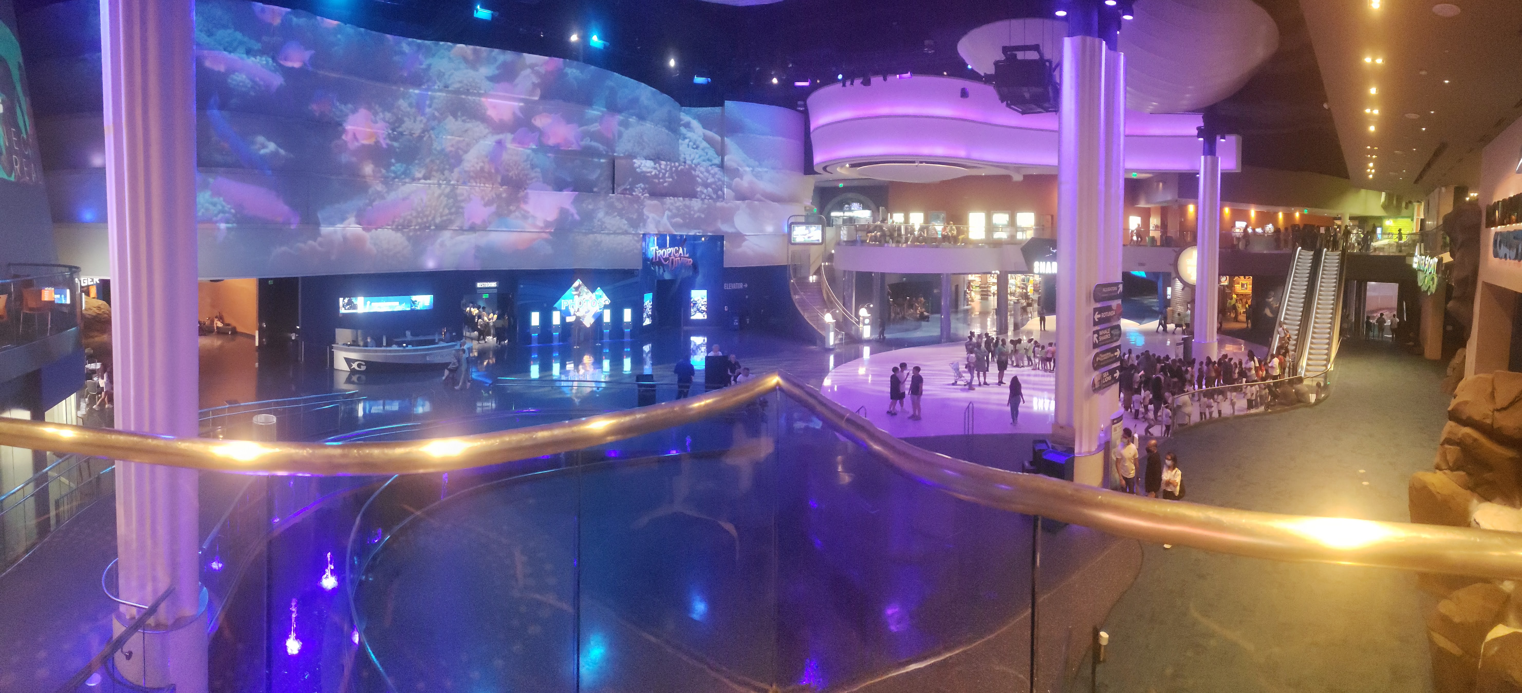 Aquarium lobby