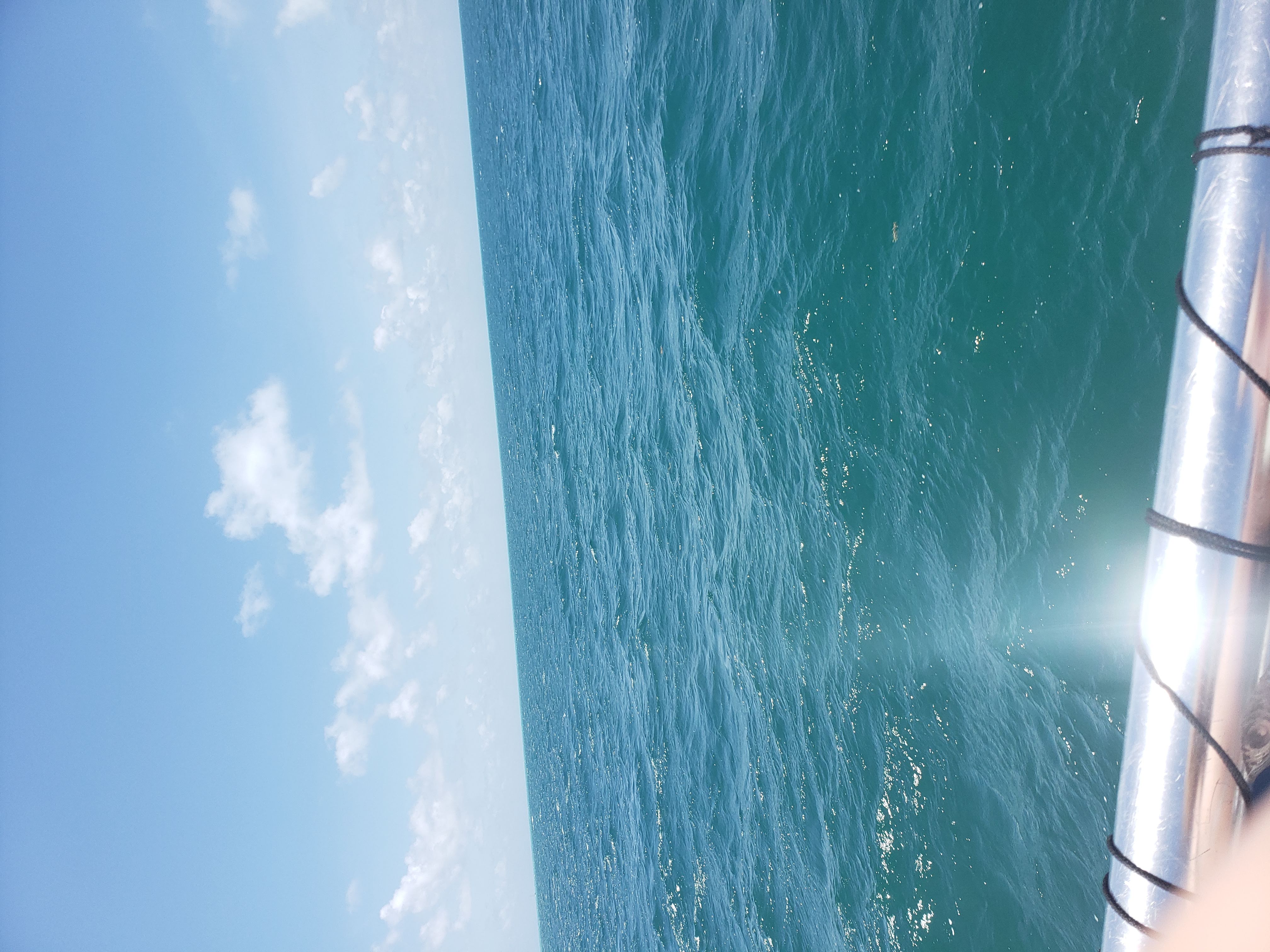 Blue skies, calm ocean, and a silver boat railing