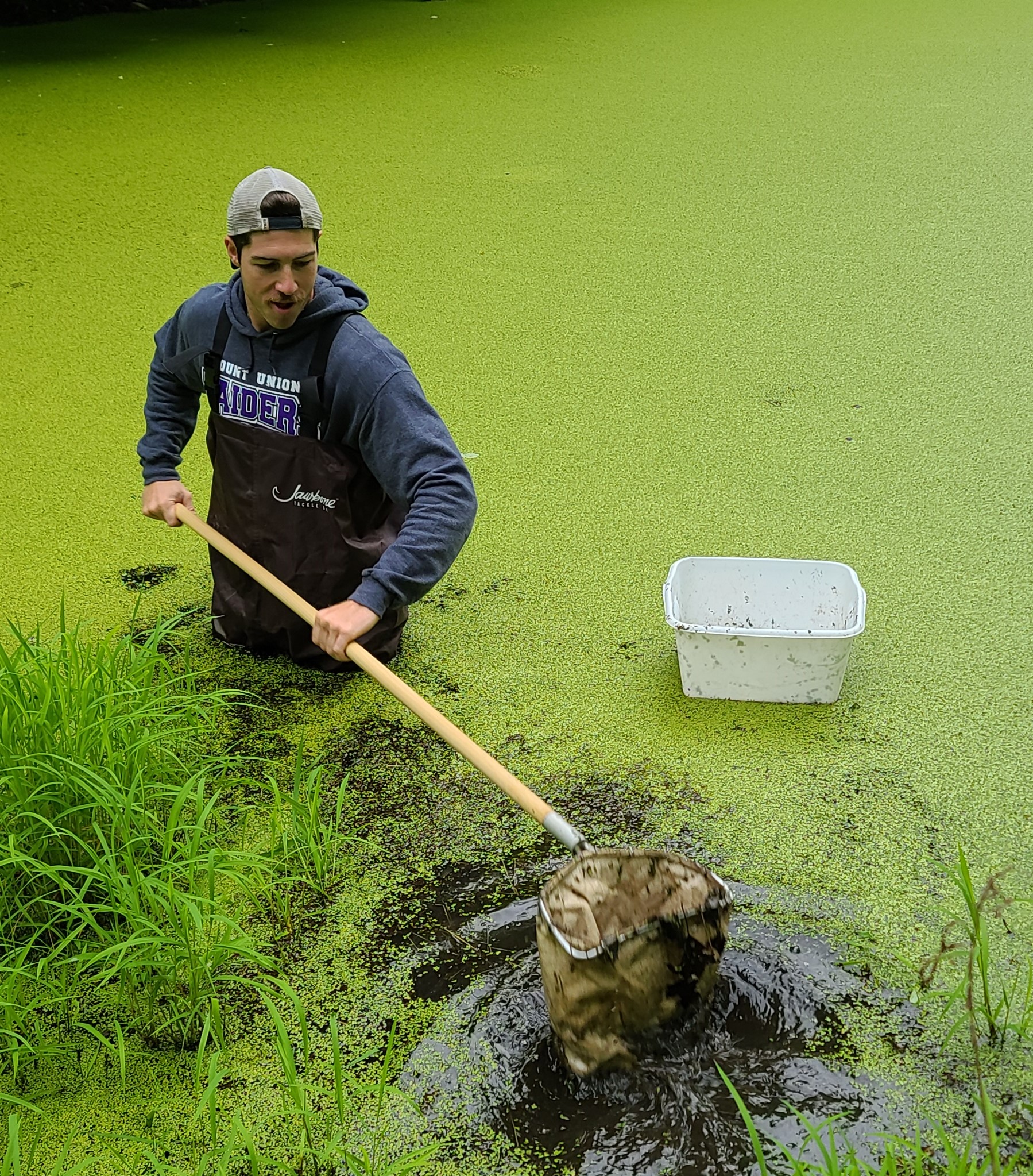 Student works in the pond